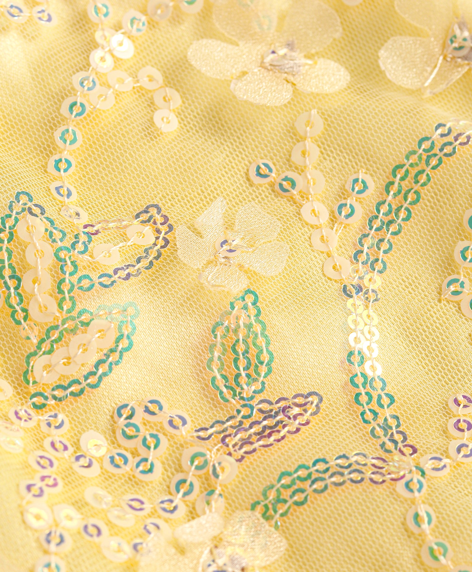 Girls embroidered choli with ghaghra set