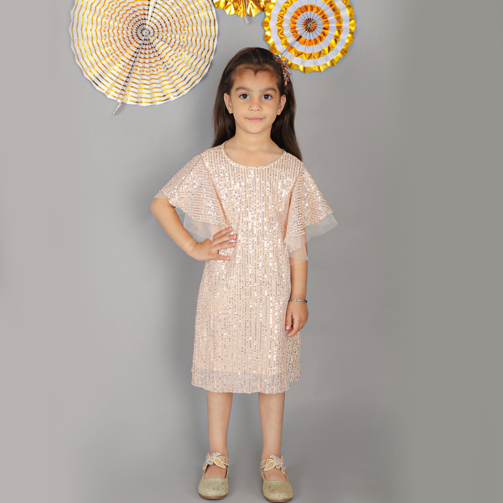 Girls Stylish Sequence Embroidered Dress with Ruffle Sleeve