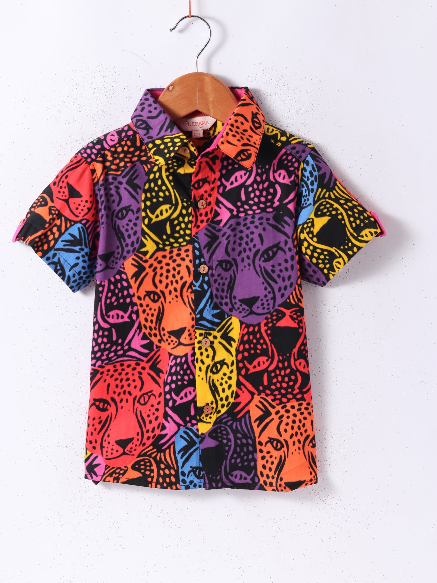 Roar at the Door Boys Multi Printed Shirt