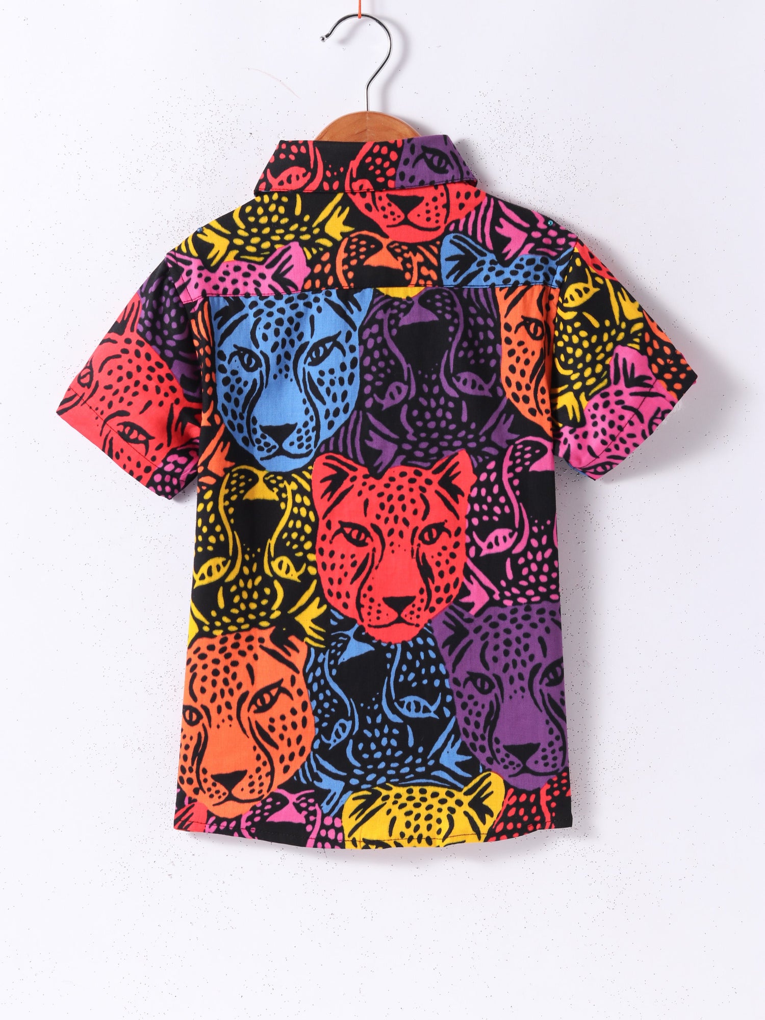 Roar at the Door Boys Multi Printed Shirt