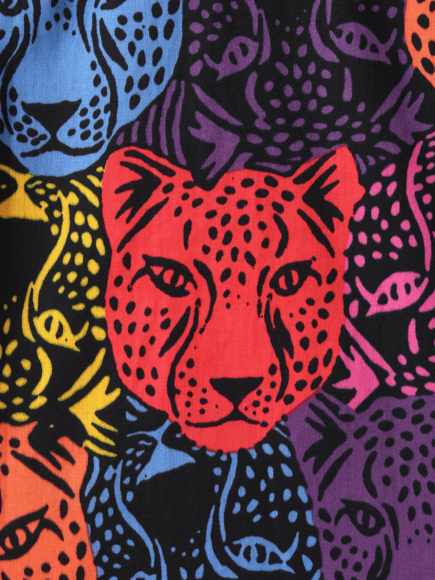 Roar at the Door Boys Multi Printed Shirt