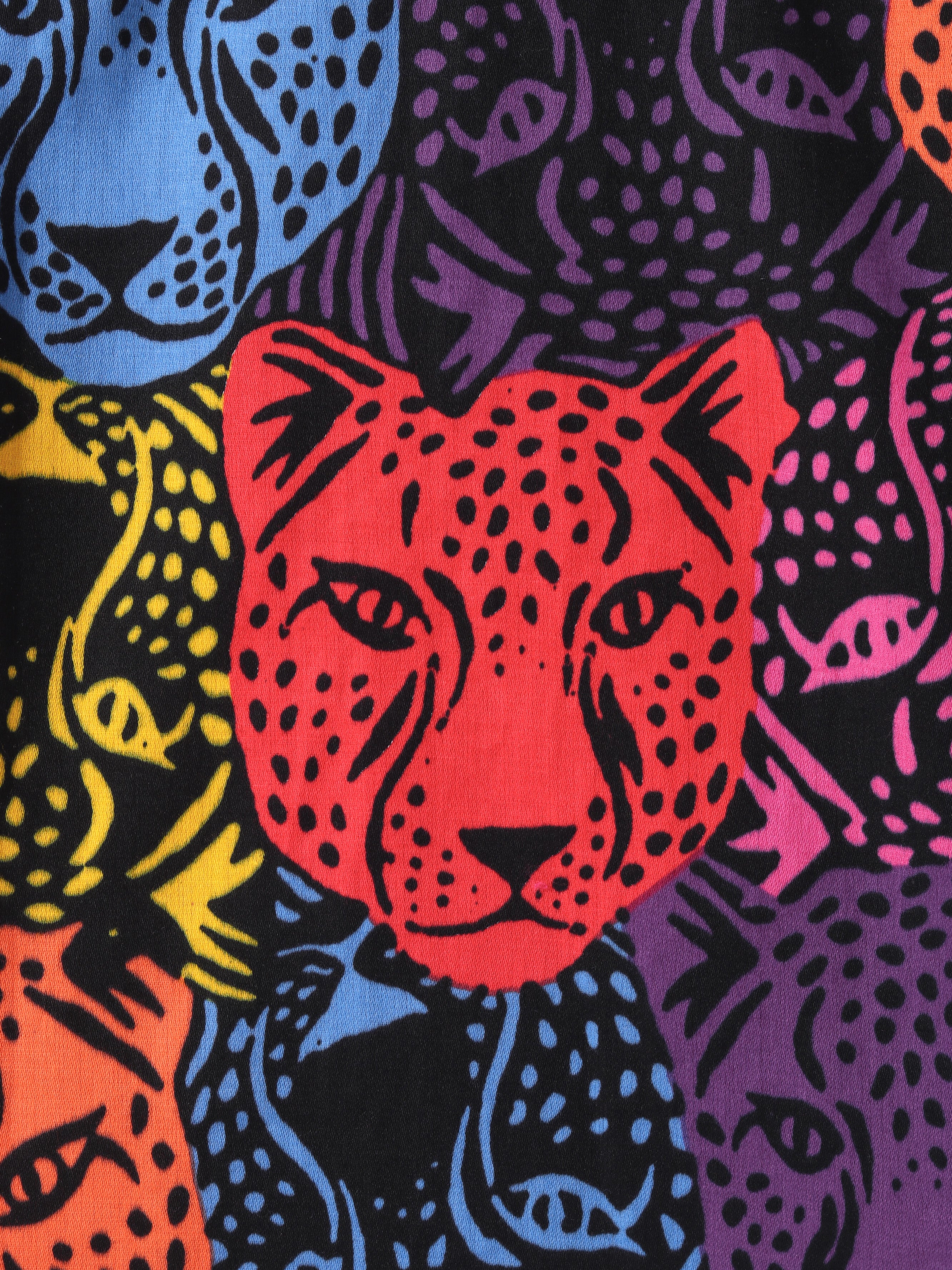 Roar at the Door Boys Multi Printed Shirt