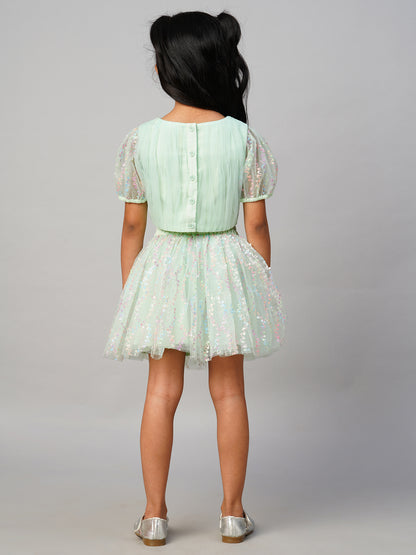 Paris Nights Girls Sea Green 3D Flower Party Skirt with Top set